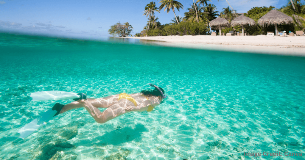 하와이 해변에서 스노클링을 즐기는 여성 (Woman Snorkeling in Hawaii Beach)